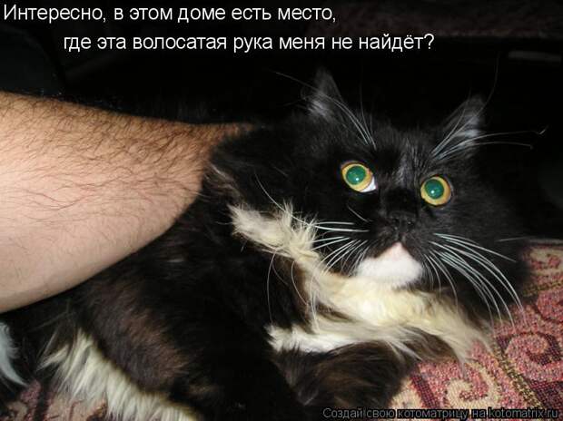 Интересно, в этом доме есть место,  где эта волосатая рука меня не найдёт?