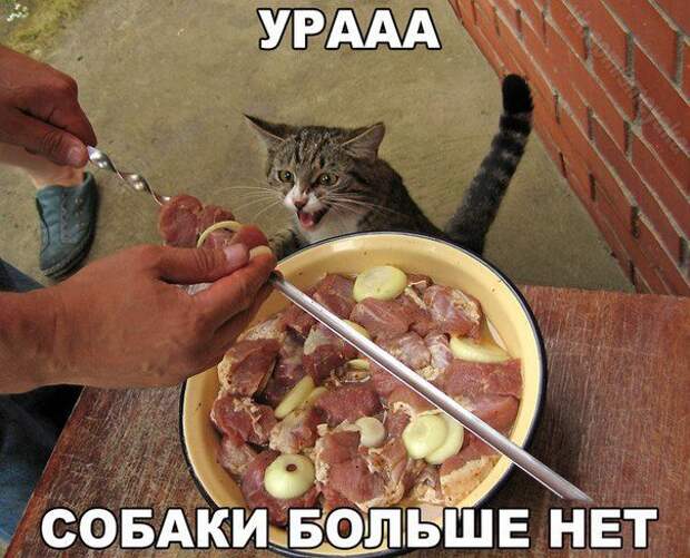 Смехопанорама Писца. Жгучая серия!