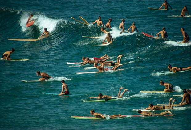 74. Многочисленные серферы захватили волны на пляже Бонди. Австралия, 1963 national geographic, история, природа, фотография
