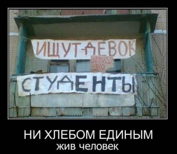 Приколы и демотиваторы, новые за неделю.