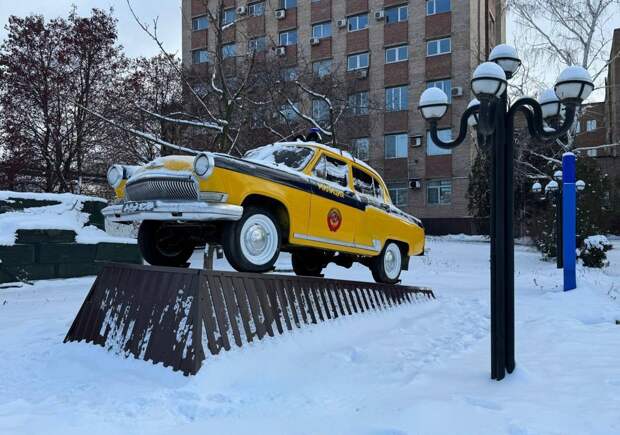 Донецкий раритет