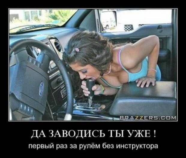 Демотиваторы приколы новые.