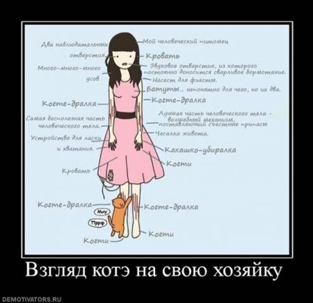 Демотиваторы, прикольные картинки, лучшие за неделю.