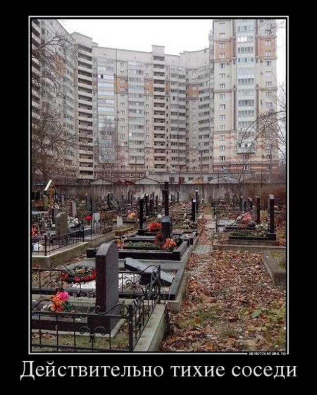 1438246006_7350320_dejstvitelno-tihie-sosedi (450x561, 222Kb)