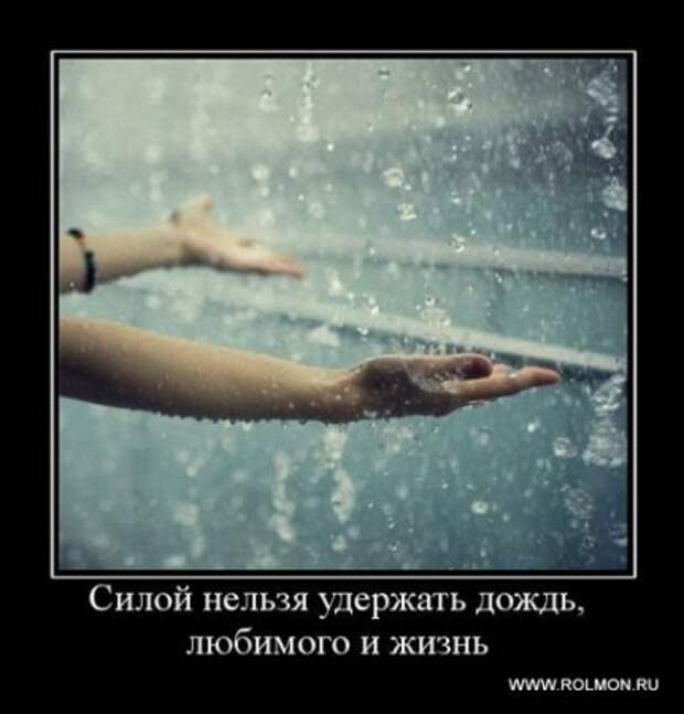 Серьезные и умные демотиваторы.