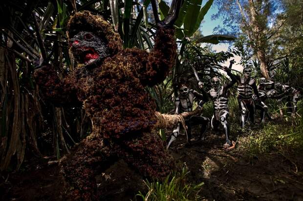 Папуасы охотятся за злым духом леса. фото