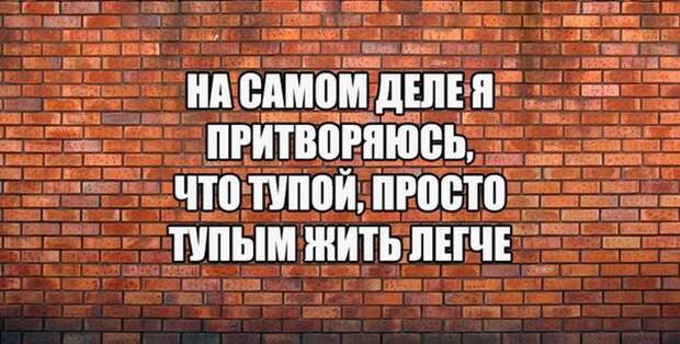 Прикольные картинки (87 фото)