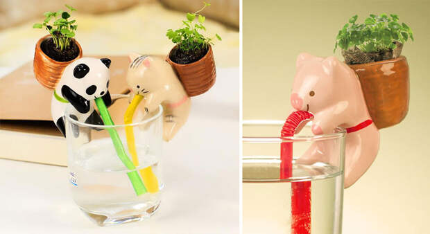 cute-self-watering-ceramic-planters-56
