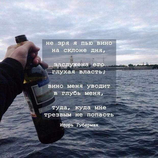 Прикольные картинки картинки, прикол, юмор