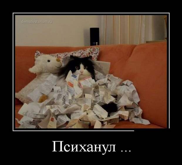 Демотиваторы демотиваторы, прикол, смех, юмор