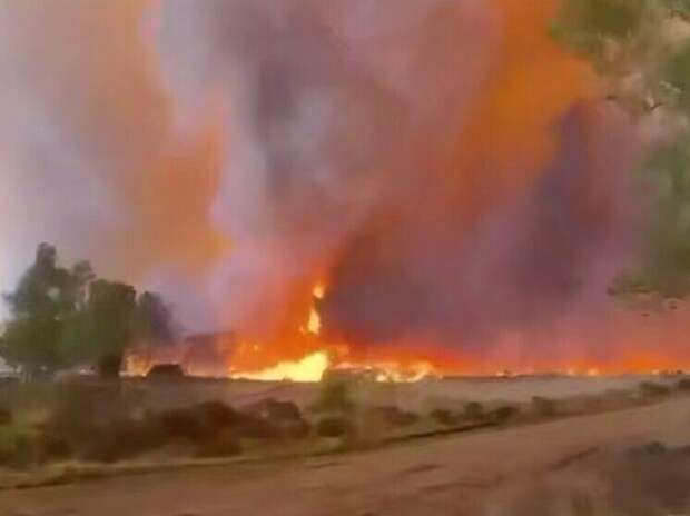 В Нидерландах полыхает артиллерийский полигон