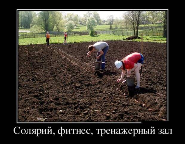Демотиваторы (30 фото) Демотиваторы (30 фото)