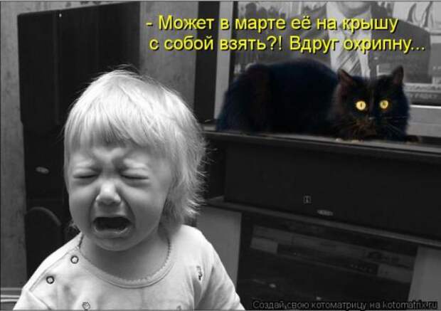 Котоматрицы (картинки с надписями)
