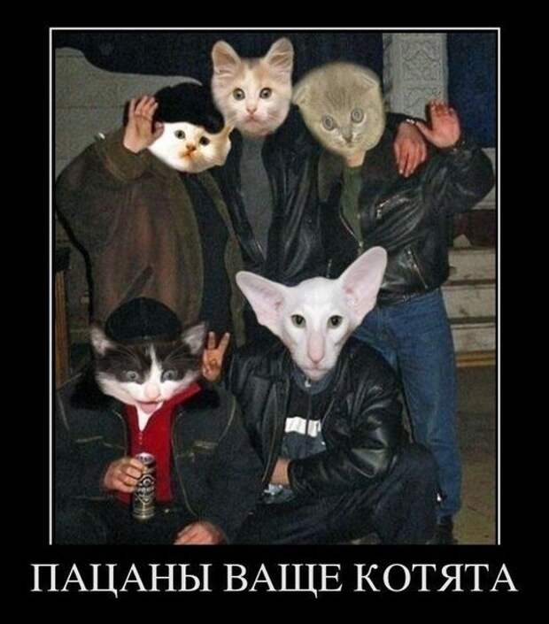 Демотиваторы для всех №4