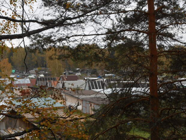 DSCN6974.JPG