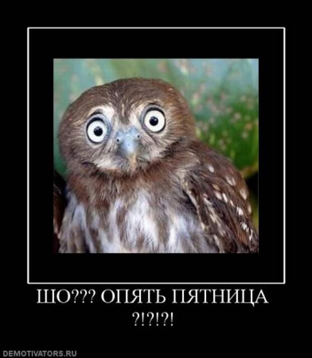 Пятничная демотивация на сайте.