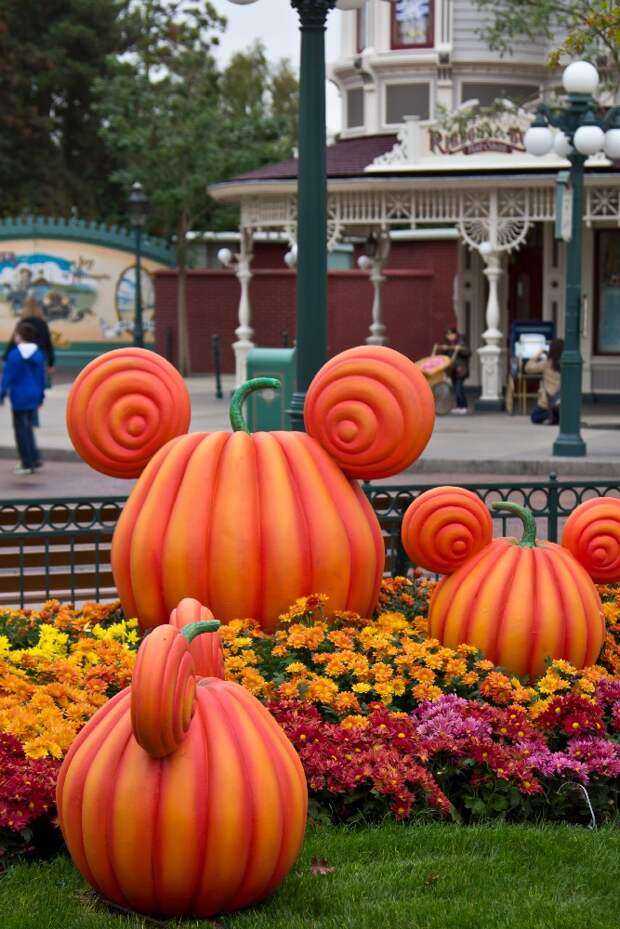 Disneyland Paris (31 фото)