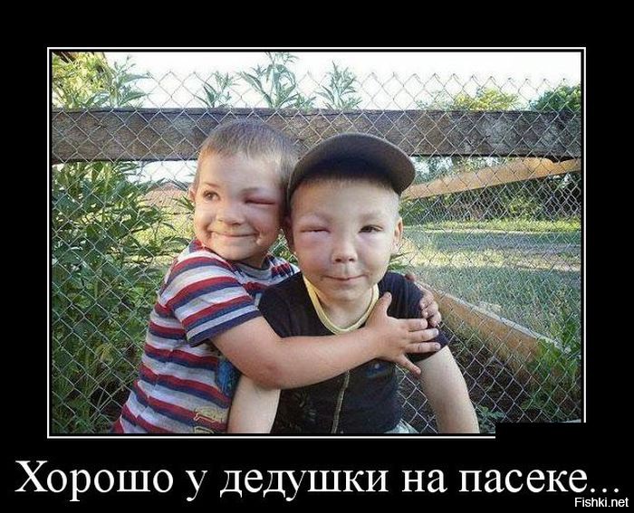 Подборка демотиваторов демотиваторы, прикол, юмор