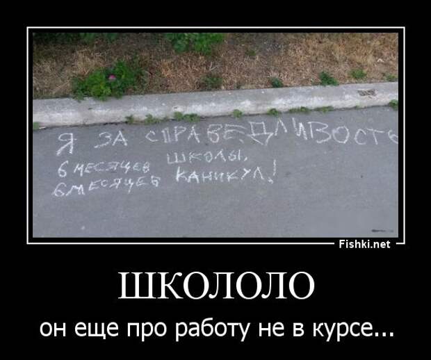 Демотиваторы  демотиваторы, прикол, смех, юмор
