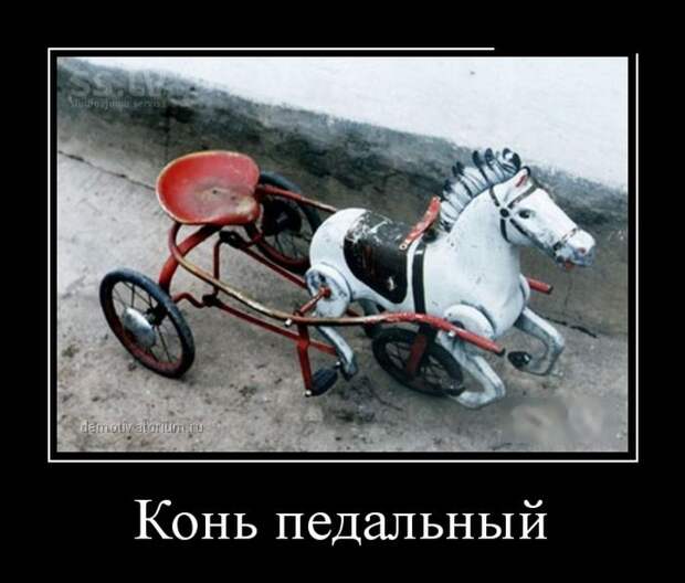 Демотиваторы (30 фото)