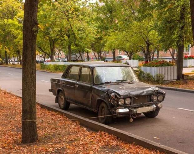 Немного прикольных фото