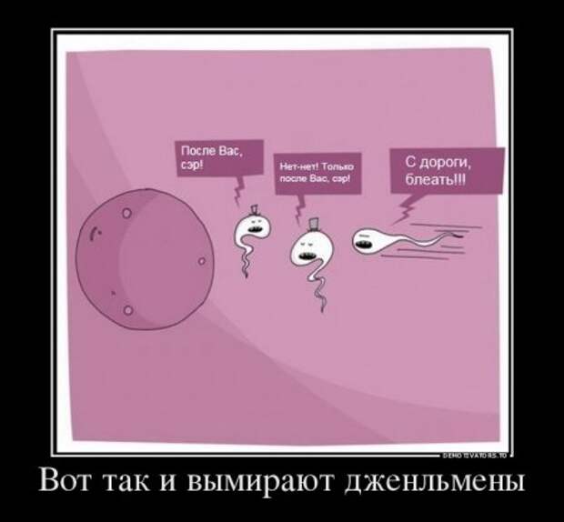 Демотиваторы, фразы с юмором.