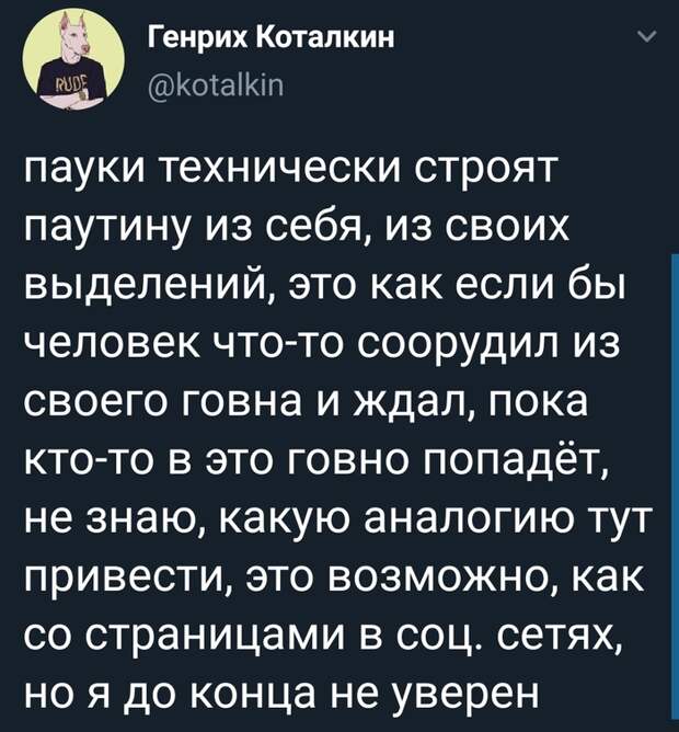 Ничего дельного из тебя не выйдет Ничего дельного из тебя не выйдет