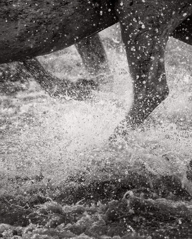 Фотограф Jonathan Critchley