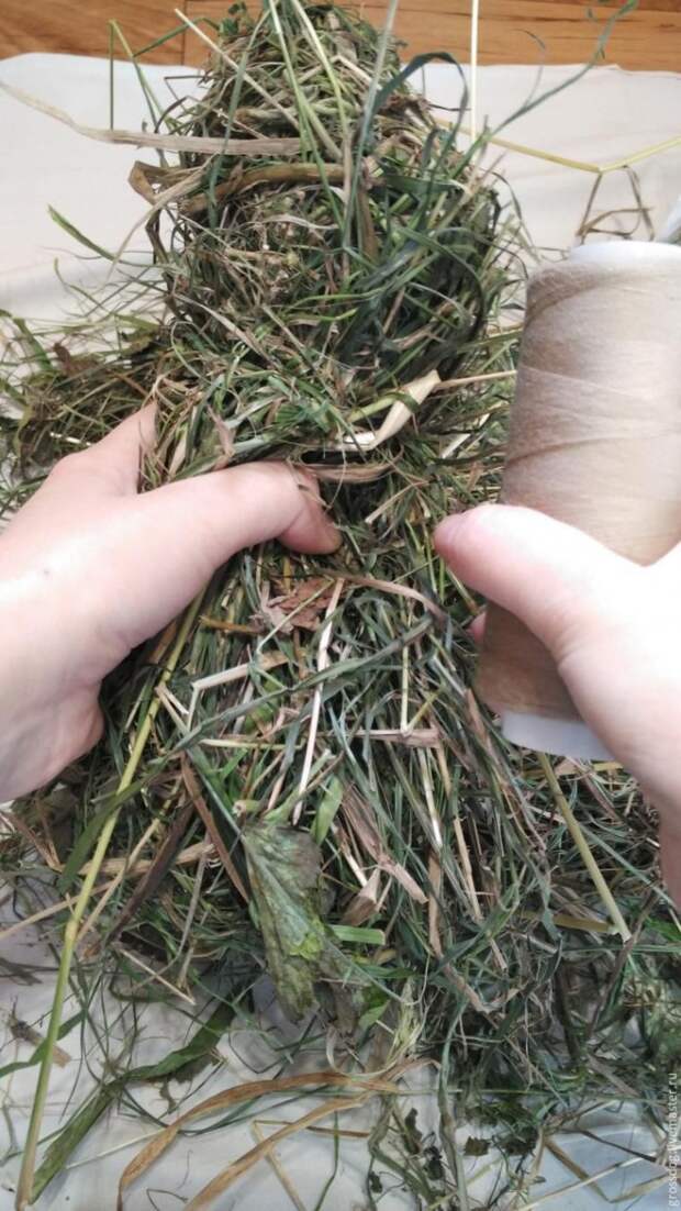 слон слон
