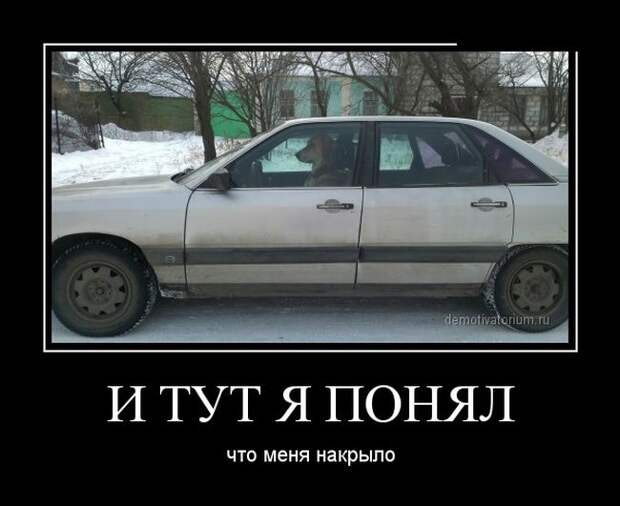 Демотиваторы демотиваторы