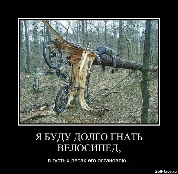 Демотиваторы катинки, прикол, смешно