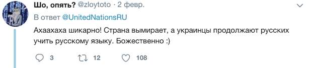 «На Украине»: в ООН напомнили о литературных нормах русского языка
