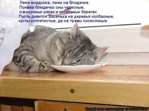 Котоматрицы :)