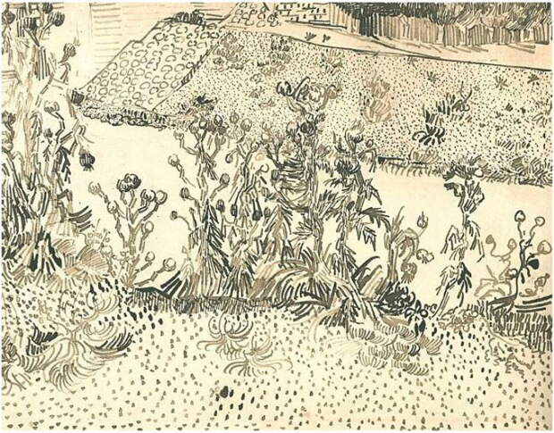 Thistles Along the Roadside, 1888. Винсент Ван Гог (1853-1890)
