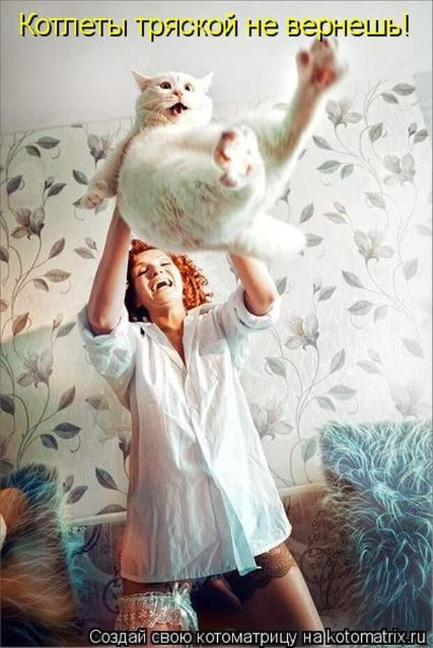 Лучшие котоматрицы недели (50 фото)