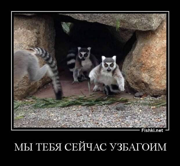 Демотиваторы демотиваторы, прикол, смех, юмор