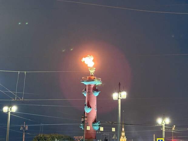 Смольный: в Новый год традиционно зажгут факелы на Ростральных колоннах