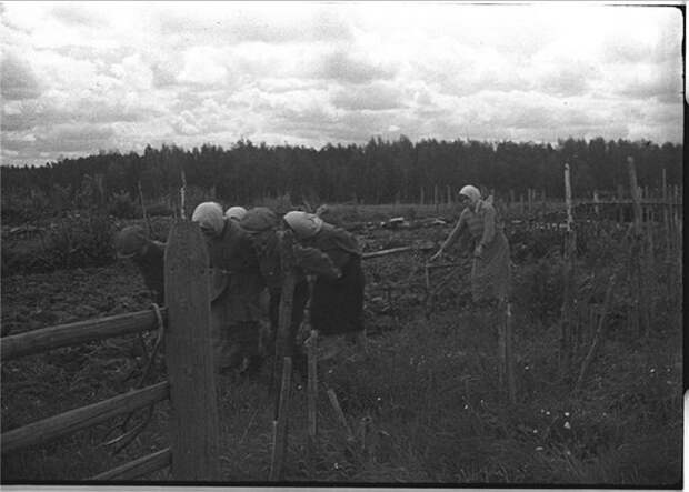 Редкие фотографии Великой Отечественной войны (49 фото)