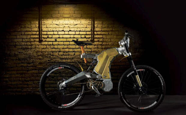 Terminus e-Bike Royal Edition Terminus e-Bike Royal Edition