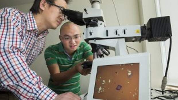 Доктор Ларри Лу наблюдает линзы в микроскоп