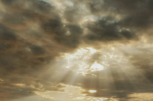 Ученые: Солнечное затмение 2024 года изменило звуки природы