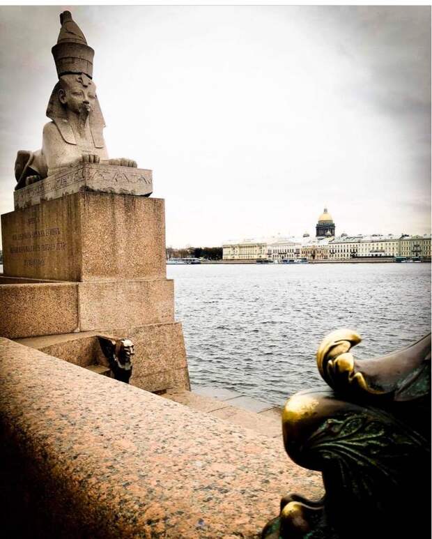 Петербургские сфинксы