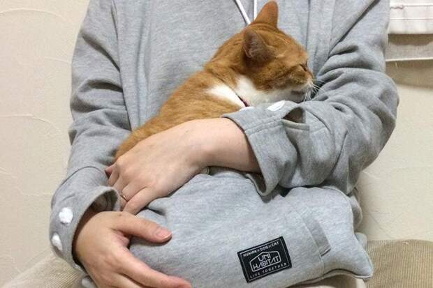 Толстовка с карманом для кошки, Mewgaroo, Unihabitat