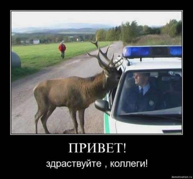 Демонтиваторы приколы.