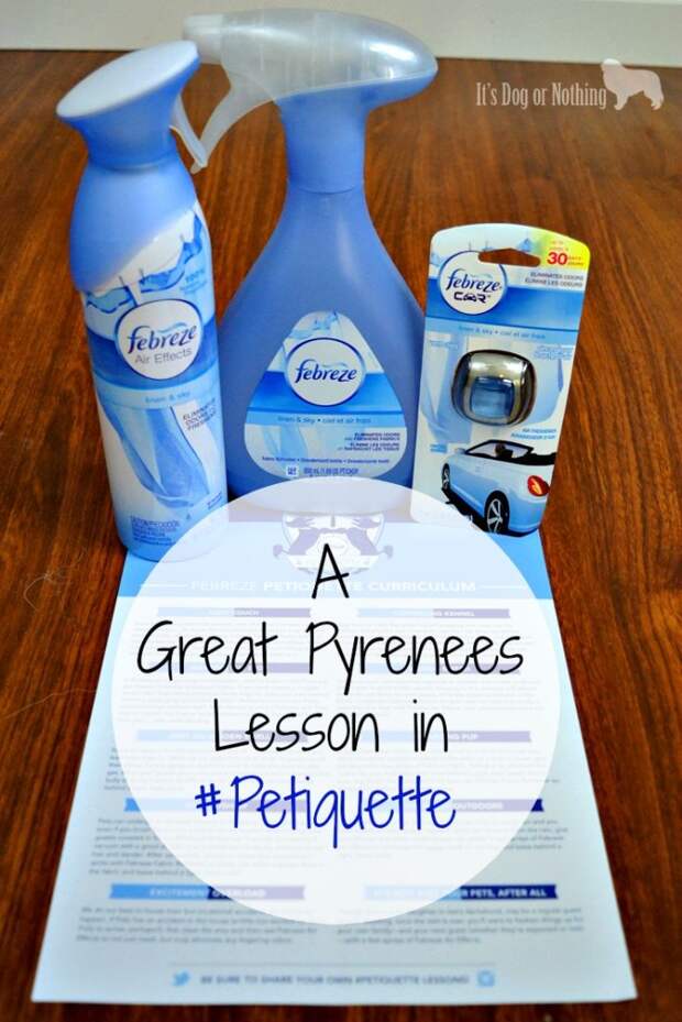 Is your dog-loving home guest ready? We're attending the Febreze school of #Petiquette to eliminate any pet odor.