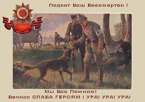 Изнанка патриотизма