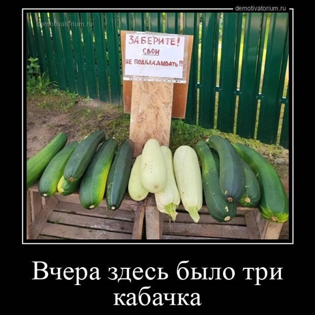 Демотиваторы в середине недели: «Вчера здесь было три кабачка»