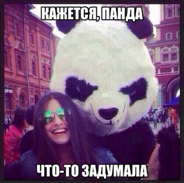 Прикольные фотомемы для прикола