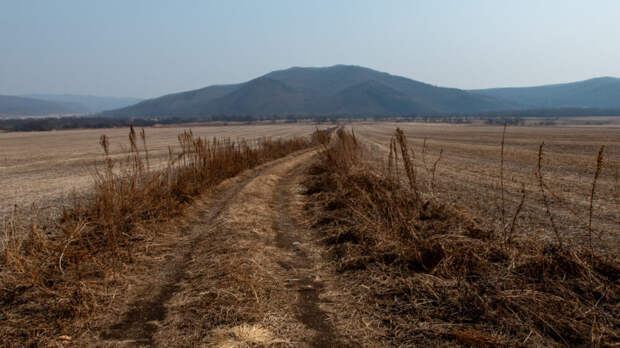 «Это вообще уже смерть»: вернувшиеся в Россию старообрядцы назвали причину вероятного банкротства