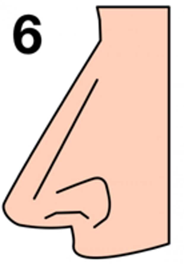 c3a9d1f4dda8854b31c05fe38891a370-550x800